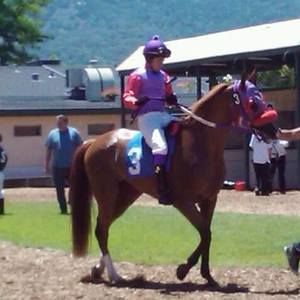 Meet your Posher, Sandy